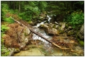 2007_07_21-05