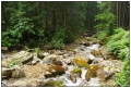 2007_07_21-06
