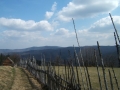2008_04_13-08