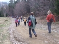 2008_04_13-10