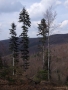 2008_04_13-18