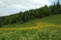 2008_05_28-02