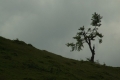 2008_05_28-03