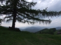 2008_05_28-06