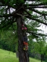 2008_05_28-07