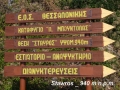 2008_08_2600