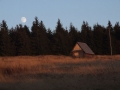 2008_11_11-09