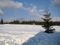 2009_03_28-08