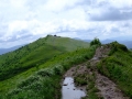 18.