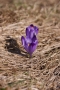 2010_04_17-00