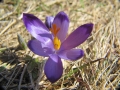 2010_04_17-17