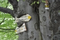 2010_05_29_30-06