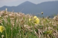2010_05_29_30-08