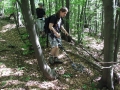 2010_06_03-38
