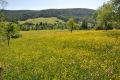 2010_06_03-43