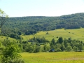 2010_06_03-52