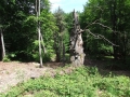 2010_06_03-61