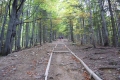 2010_09_26-02