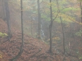 2010_09_10-04