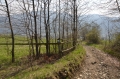 2011-03-17-01