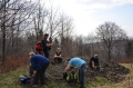 2011-03-17-03