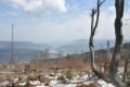 2011-03-17-07