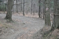 2011-03-17-27