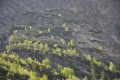 2011-06-05-02