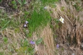 2011-06-05-23