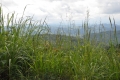 2011-06-23-19
