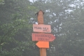 2011-06-23-39