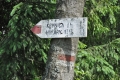 2011-06-23-58