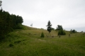 2011-06-23-03