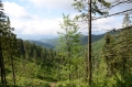 2011-06-23-05