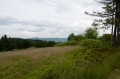 2011-06-23-09