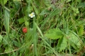 2011-06-23-14