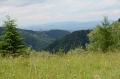 2011-06-23-15