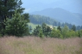 2011-06-23-23