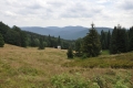 2011-08-06-01