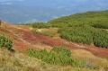 2011-09-25-07