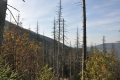 2011-09-25-25