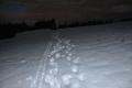 2011-12-10-01