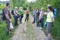 2012-05-26-01