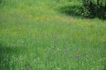 2012-06-07-102