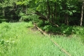 2012-06-07-104