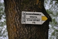 2012-06-07-34
