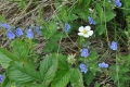 2012-06-07-71