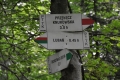 2012-06-07-72
