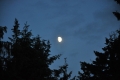 2012-06-29-10