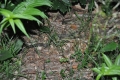 2012-06-29-21